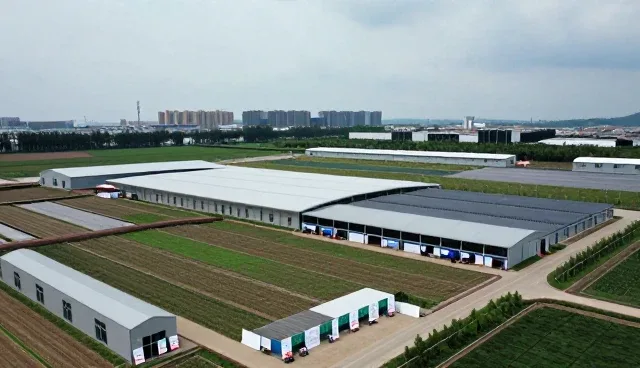 系统升级过程中本地化服务的关键问题与应对策略